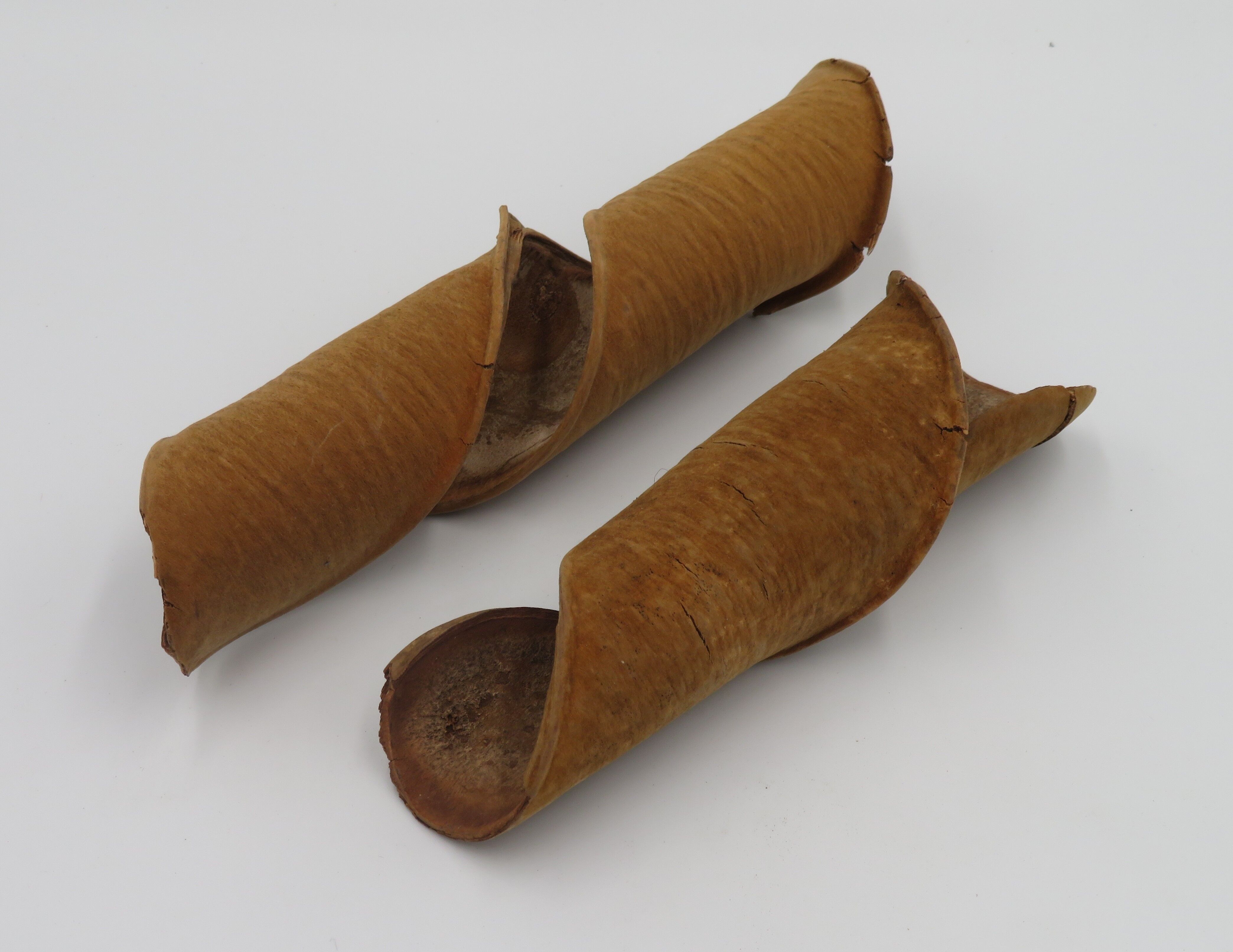 Panasonic Panga Pods - Natural decoration - Flower arrangement decoration - Flower arranging materials - dried - material
