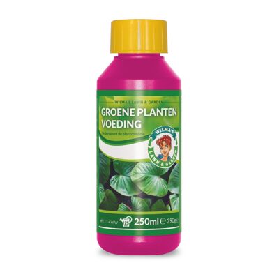 Wilma Green plants 250 ml