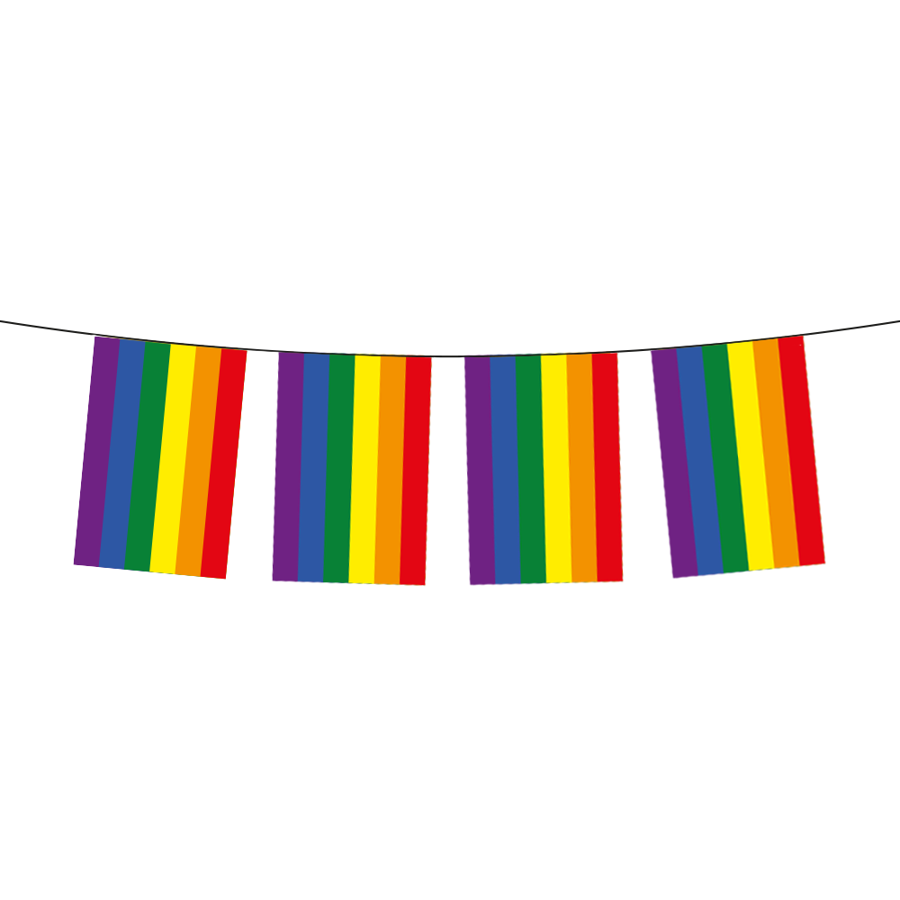 Bunting Paper 6m 20x30cm - Pride
