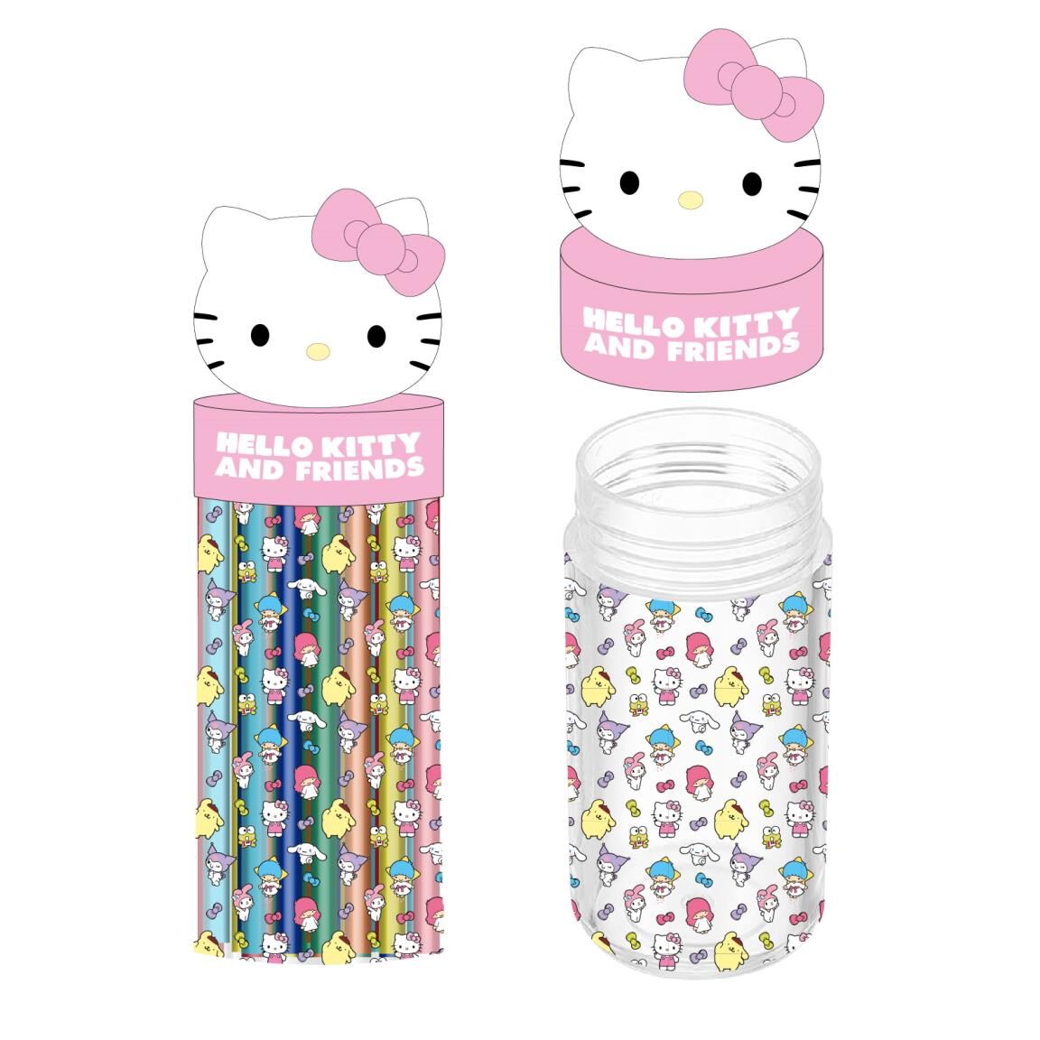 HELLO KITTY ACCESSORY CASE - 2700002375
