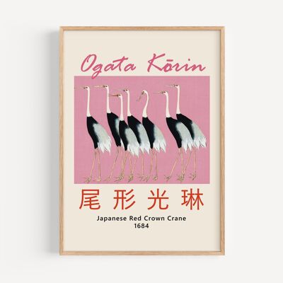Ogata korin - japanes red crown crane, 1684-2