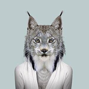 Canada Lynx__Unframed / Large