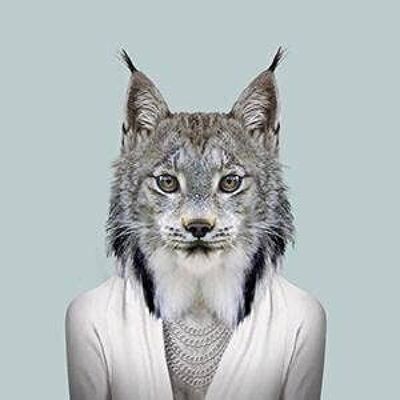 Kanada Lynx__Ungerahmt / Groß