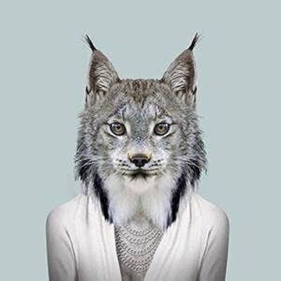 Canada Lynx__Sans cadre / Grand