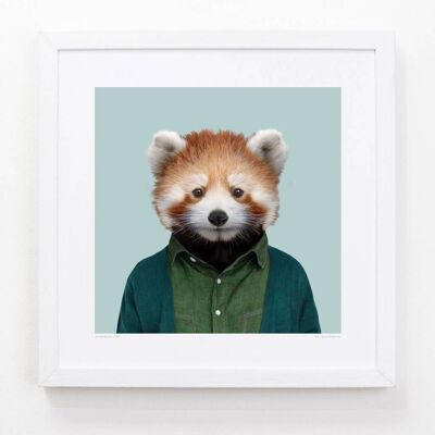 Chang, il panda rosso__Azzurro / Grande [61 cm x 61 cm] / Senza cornice