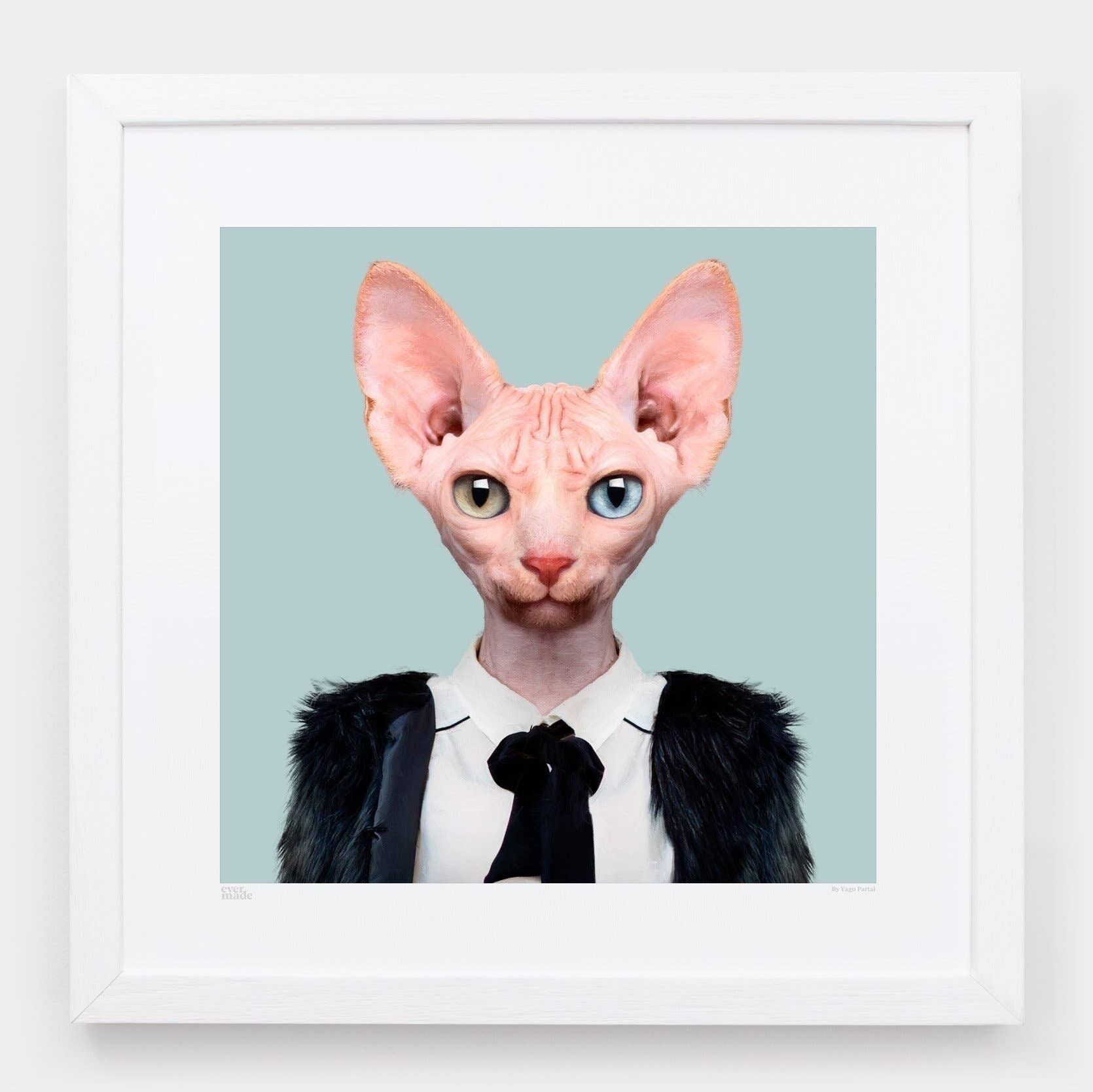 Cora, il gatto Sphynx__Azzurro / Grande [61 cm x 61 cm] / Senza cornice