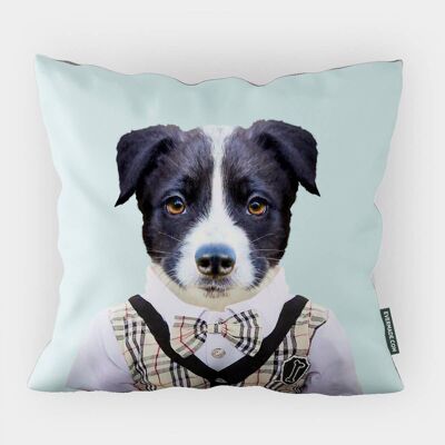 Border Collie Puppy Cushion