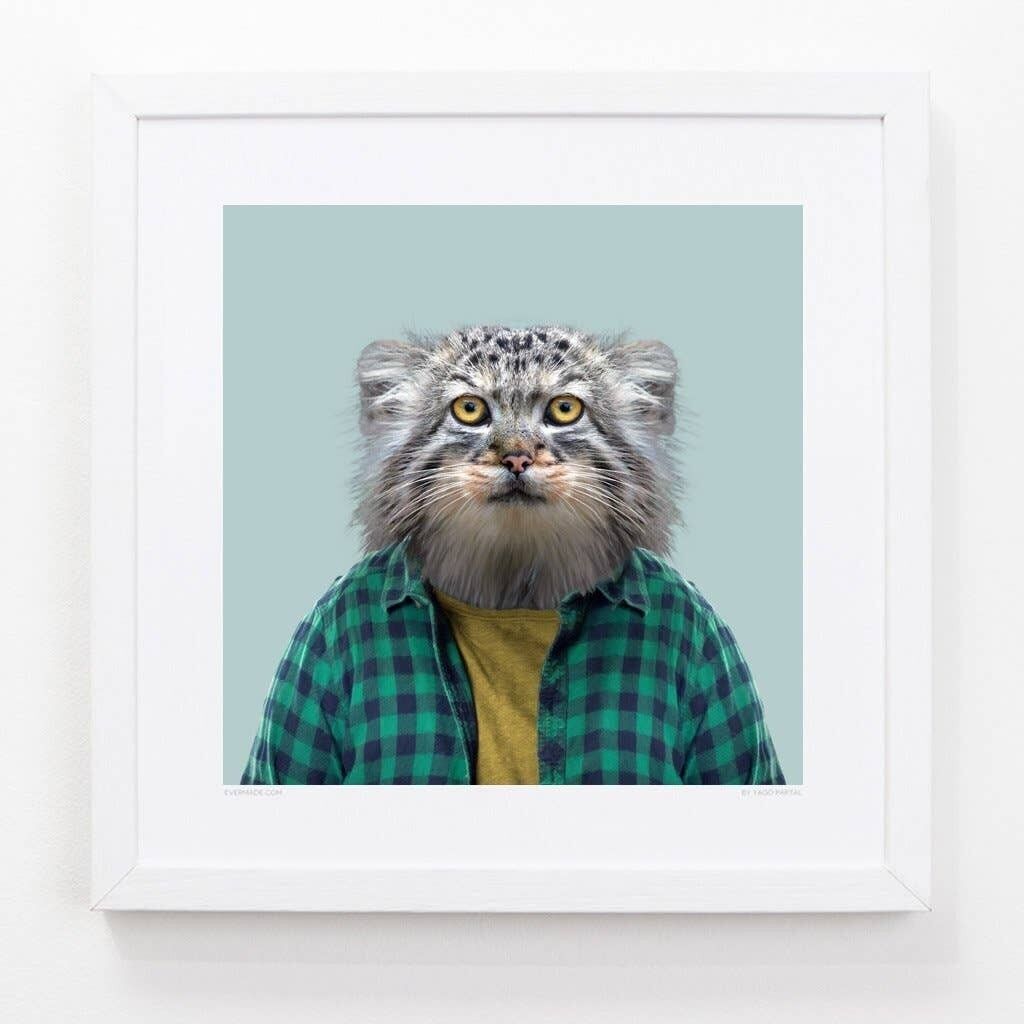 Khulan, il gatto di Pallas__Azzurro / Grande [61 cm x 61 cm] / Senza cornice