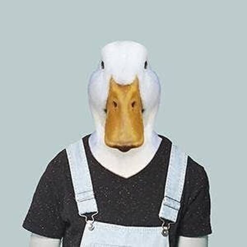 Duck__Unframed / Large