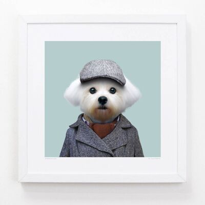 Zazu, the Maltese Dog__Light Blue / Large [61cm x 61cm] / Unframed