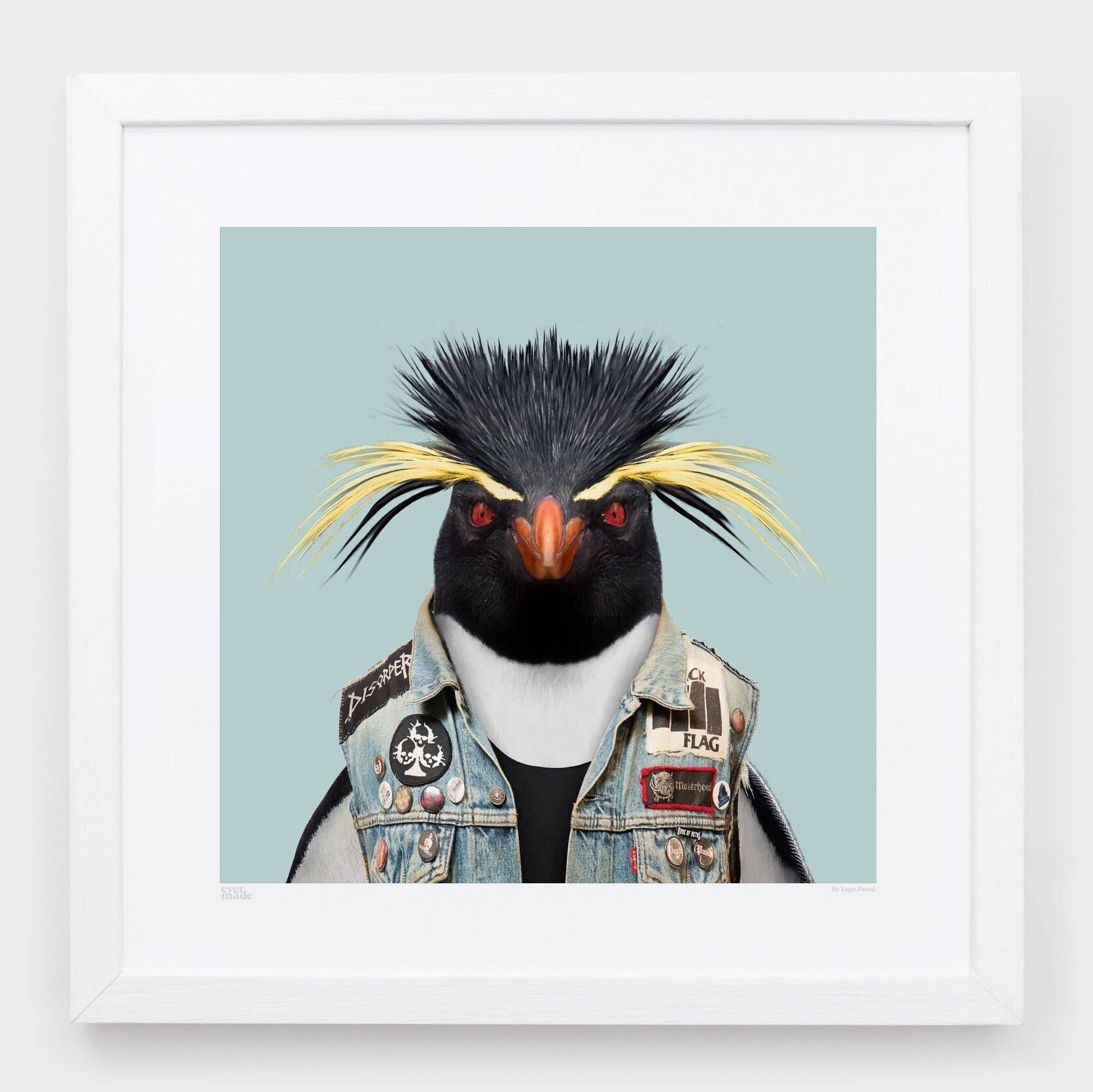 Tomas, il pinguino saltaroccia del sud__Azzurro / Grande [61 cm x 61 cm] / Senza cornice