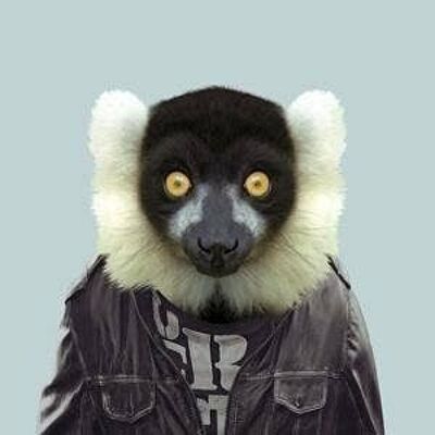 Lemure Ruffed__Unframed