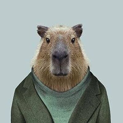 Capybara__Ungerahmt