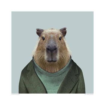 Capybara__Sans cadre 5