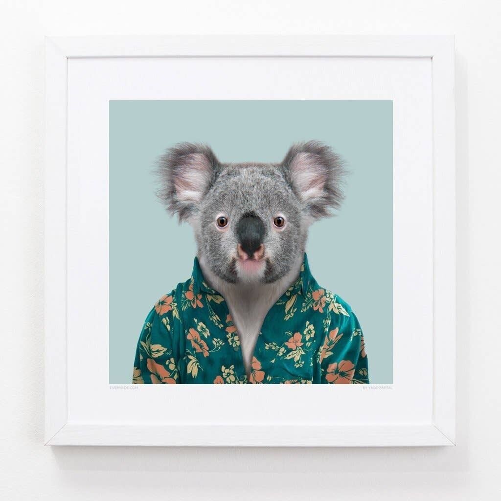 Cooper, el Koala__Azul claro / Grande [61 cm x 61 cm] / Sin marco