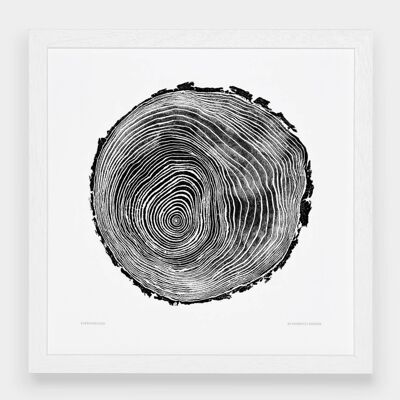 Scots Pine__Unframed