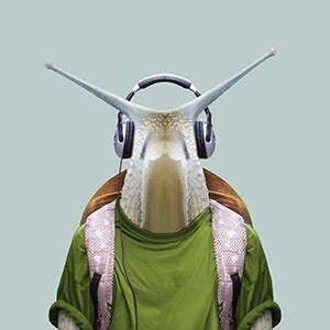 Lumaca__Senza cornice