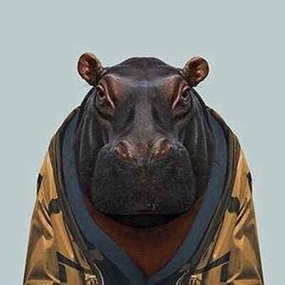 Hipopótamo__Sin marco