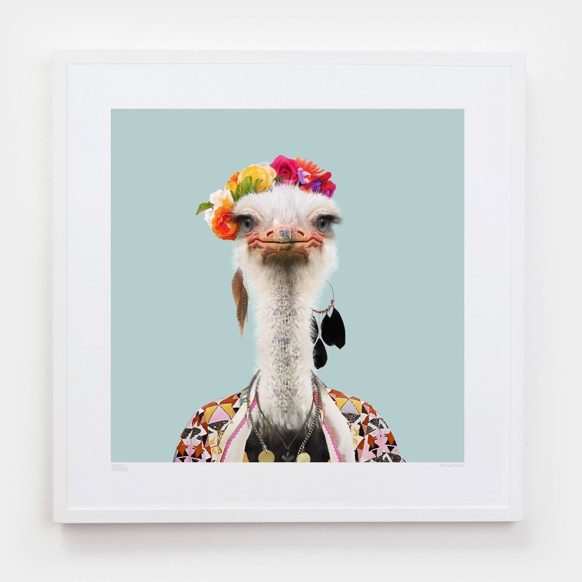 Amburo, lo struzzo somalo__Azzurro / Grande [61 cm x 61 cm] / Senza cornice