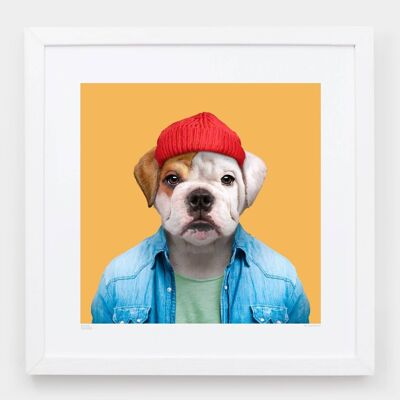 Charlie, the English Bulldog__Light Blue / Large [61cm x 61cm] / Unframed