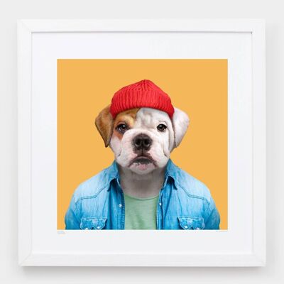 Charlie, il Bulldog inglese__Azzurro / Grande [61 cm x 61 cm] / Senza cornice