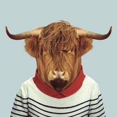 Scottish Cow__Unframed