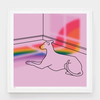 Rainbow by the Greyhound__Large [61cm x 61cm] / Sans cadre