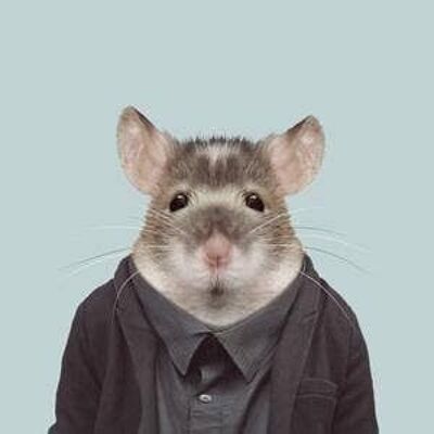 Souris__Sans cadre