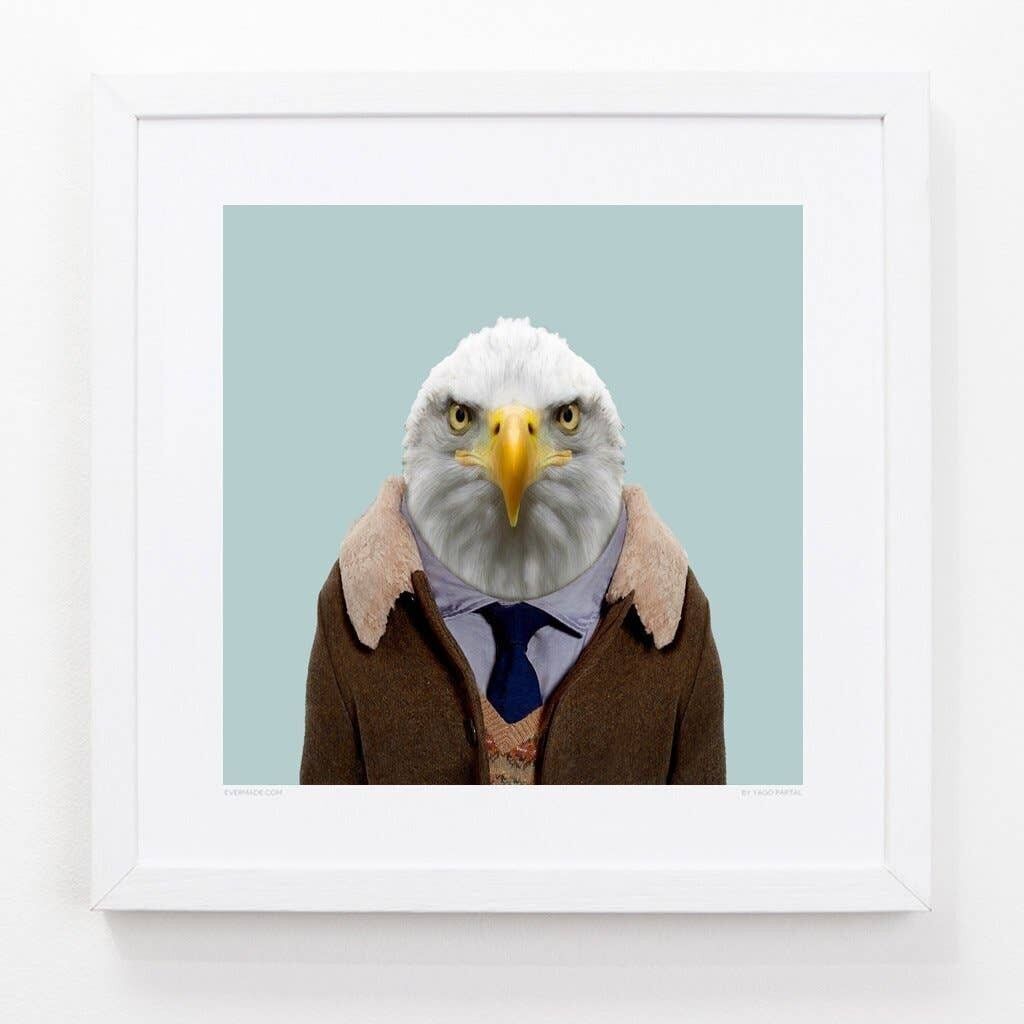 John, the Bald Eagle__Azzurro / Grande [61 cm x 61 cm] / Senza cornice
