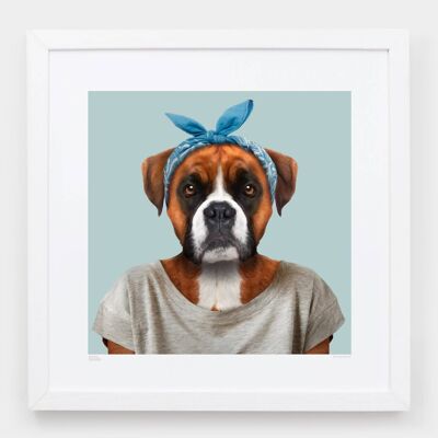 Hannah, the Boxer__Light Blue / Large [61cm x 61cm] / Unframed