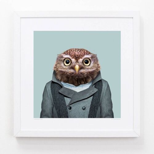 Alfie, the Owl__Light Blue / Large [61cm x 61cm] / Unframed