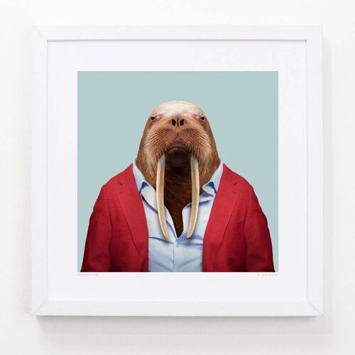 Joseph, the Walrus__Light Blue / Large [61cm x 61cm] / Unframed