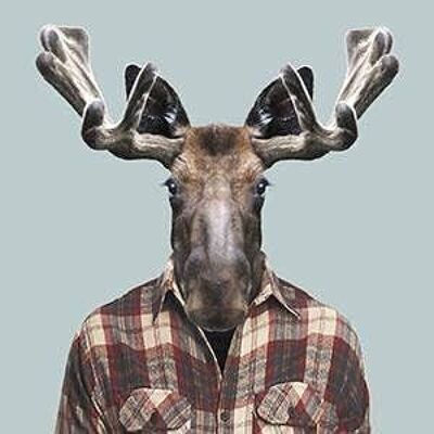 Moose__Unframed