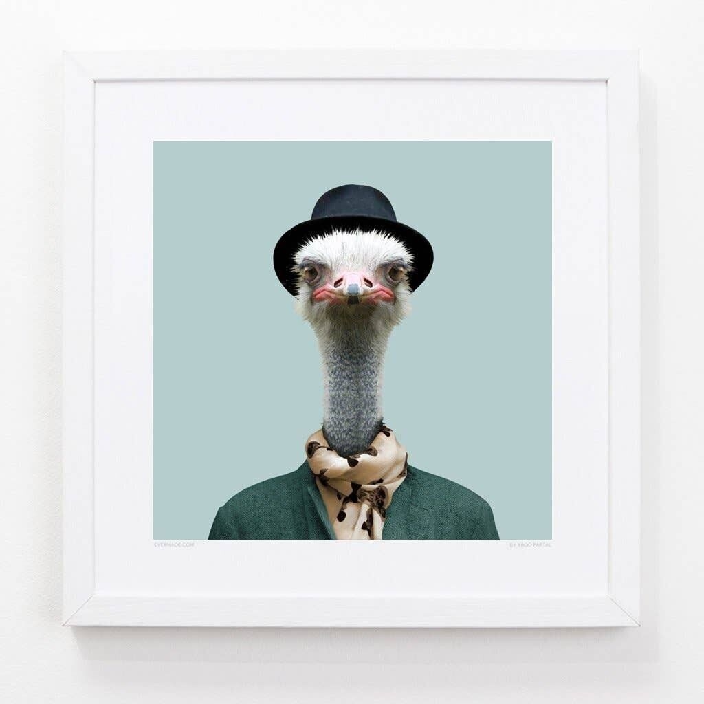 Sammy, l'autruche__Bleu clair / Grand [61cm x 61cm] / Sans cadre