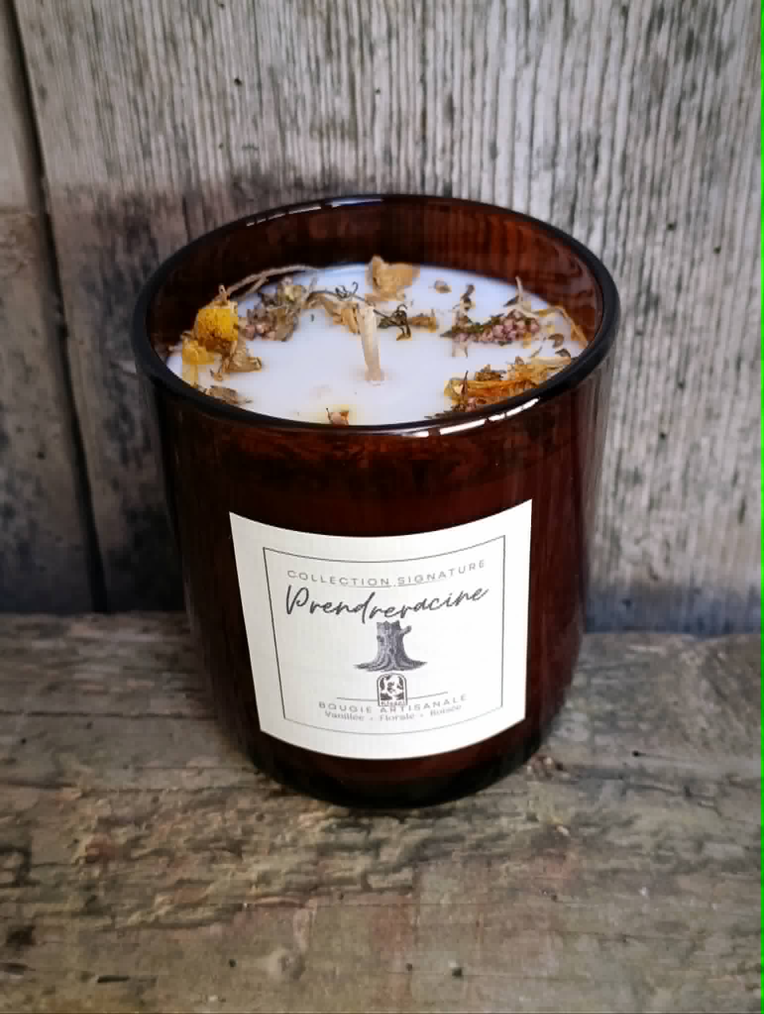 Handcrafted candle - TAKE ROOT - Signature Collection