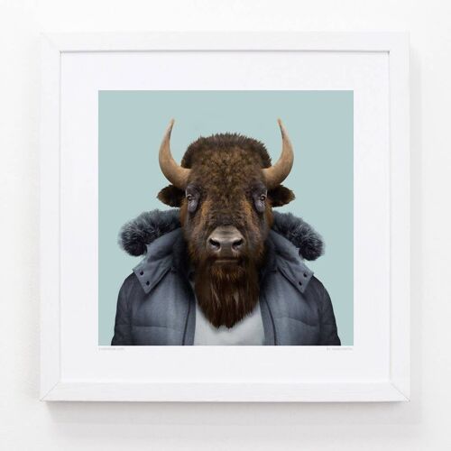 Ethan, the American Bison__Light Blue / Large [61cm x 61cm] / Unframed