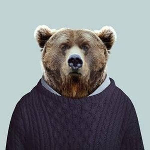 Grizzly Bear__Unframed