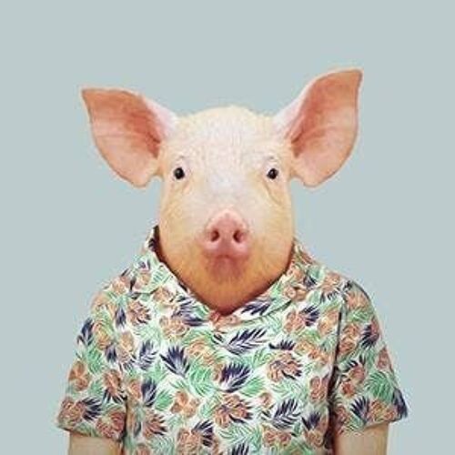 Pig__Unframed