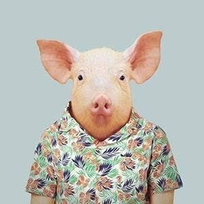 Schwein__Ungerahmt