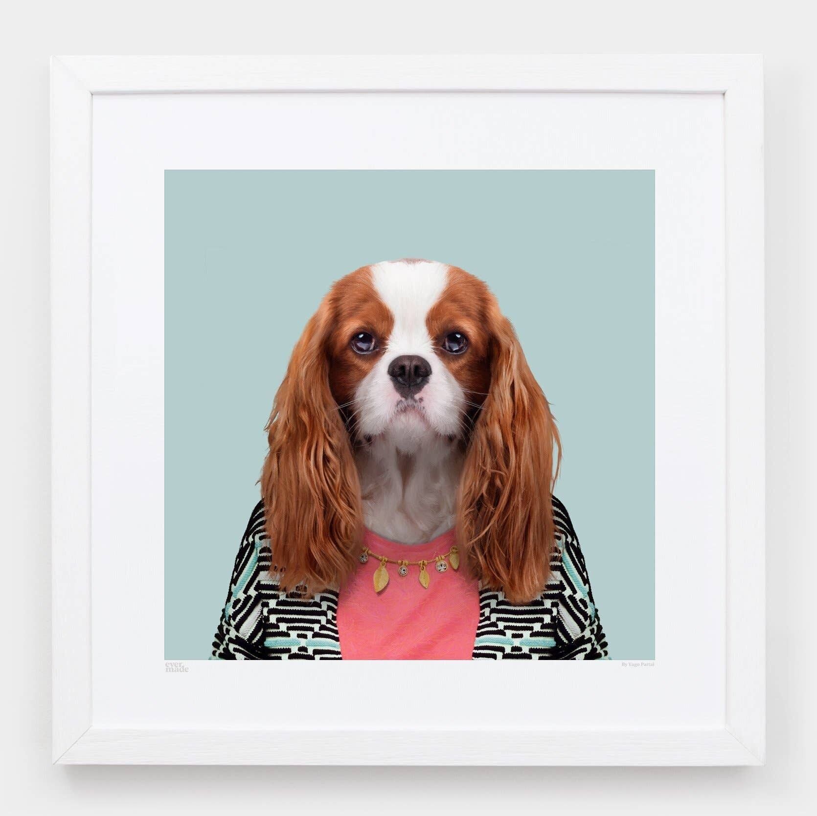 Amelia, il Cavalier King Charles Spaniel__Azzurro / Grande [61 cm x 61 cm] / Senza cornice