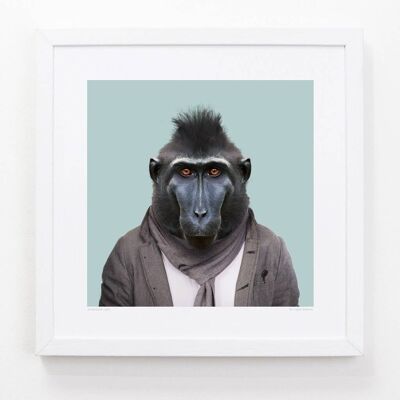 Gus, the Celebes Crested Macaque__Light Blue / Large [61cm x 61cm] / Unframed