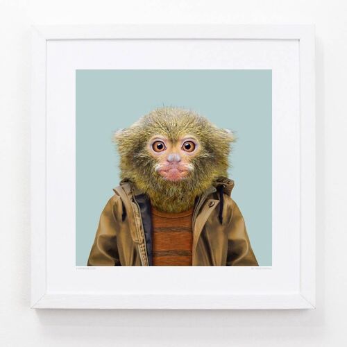 Marthias, the Pygmy Marmoset__Light Blue / Large [61cm x 61cm] / Unframed