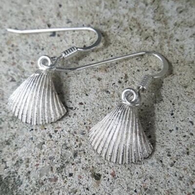 Mini Seashell earrings