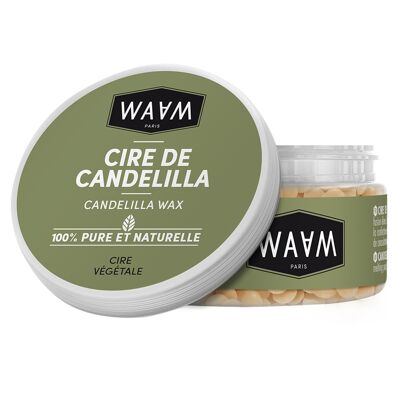 Candelilla wax