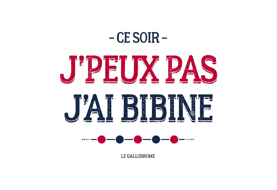 MAGNET I CAN'T I'VE GOT A BIBINE