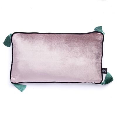 Silver Velvet Rectangular Cushion with Jade Tassels