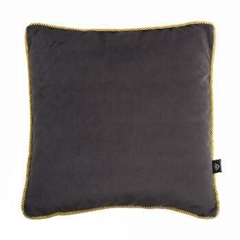 Coussin en Soie Gris Neptunien 2 4