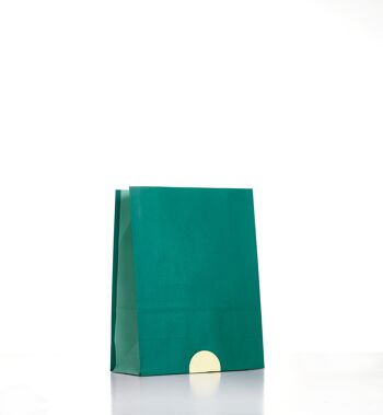 Emballage cadeau réutilisable Soft Green 5