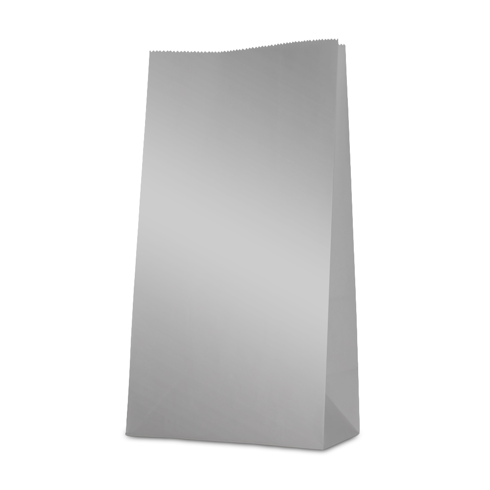 10 Paper bags 23,5x13x6 cm - Silver