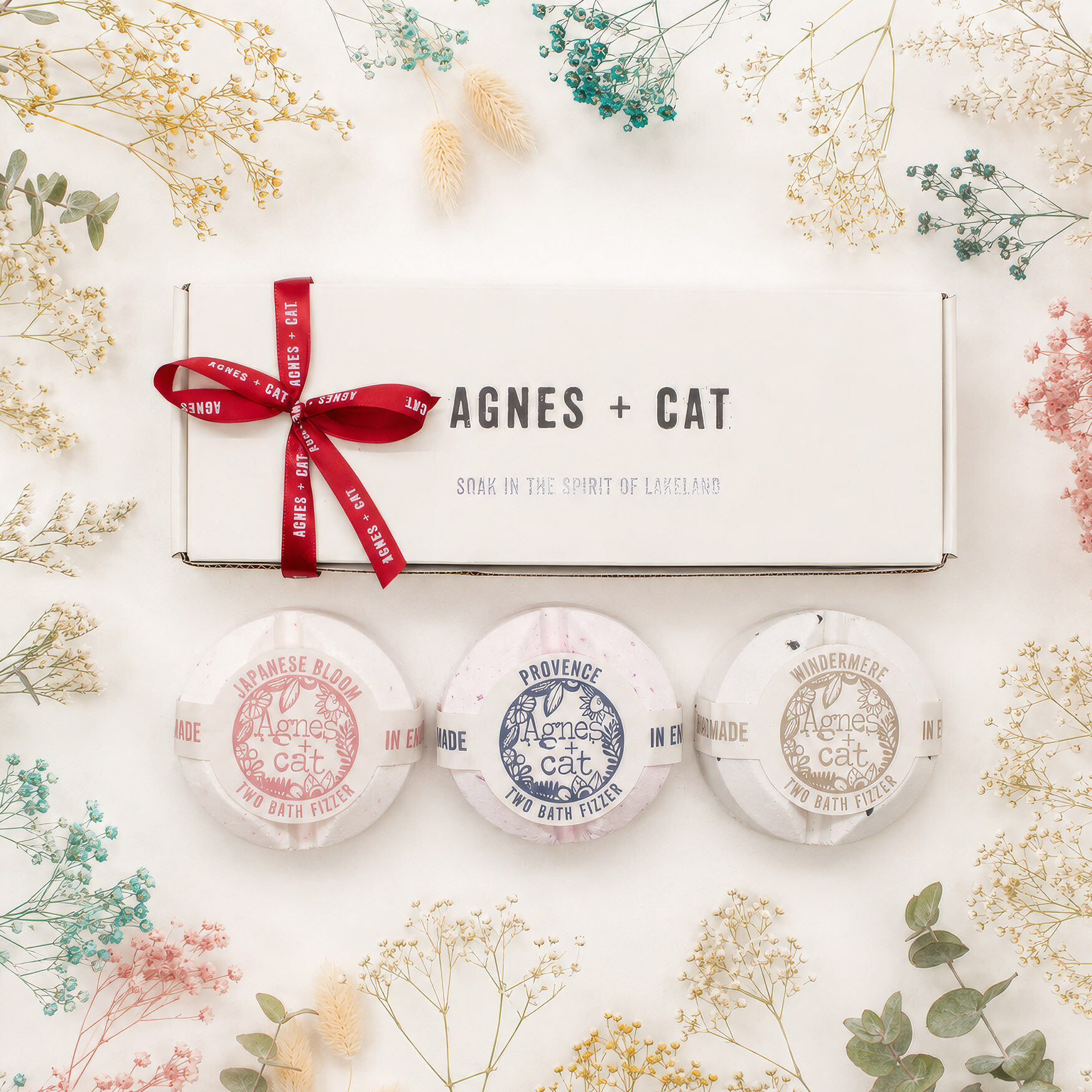 Lakeland Favorites Fizzer Set